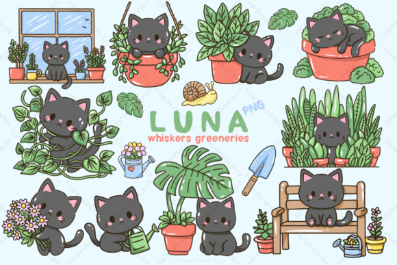 Download Kawaii Black Cat &amp; House Plants - Premium Bundle