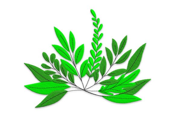 Download Plants - Premium Resources