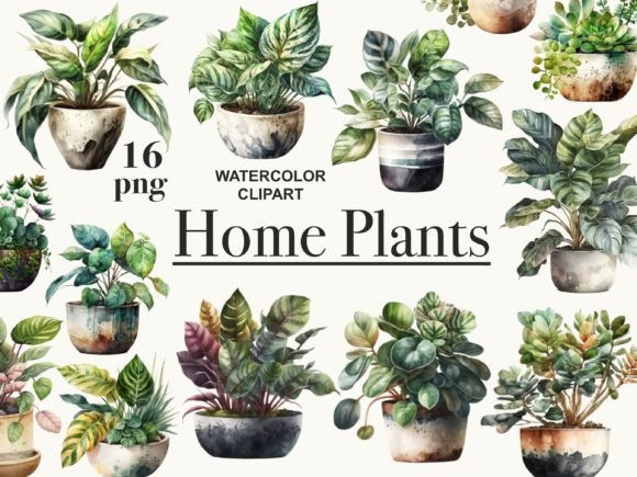 Download House Plants Clipart, Potted Plants Png - Premium Bundle